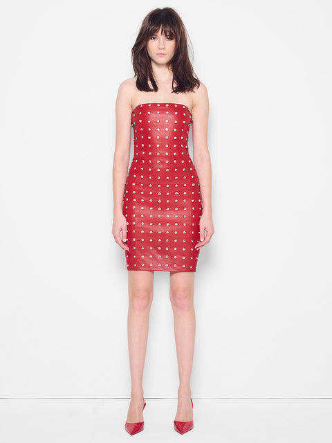 IMMORTAL STRETCH LEATHER DRESS